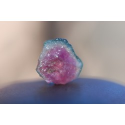 Watermelon Tourmaline