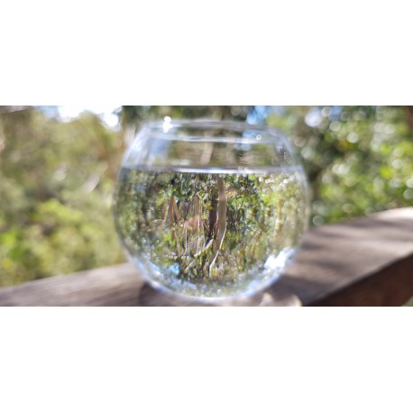 Personal Consultation (2)