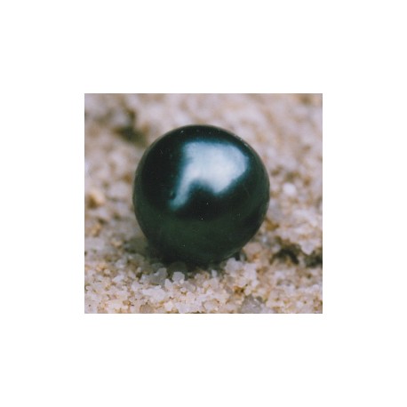 Black Pearl